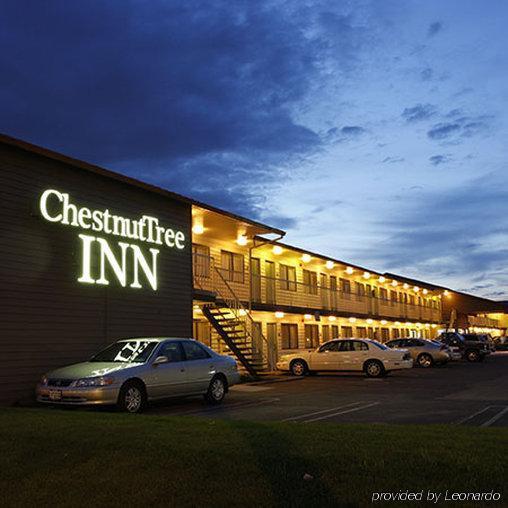 Motel Chestnut Tree Mall 205 2*